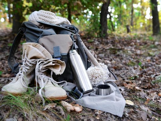 Co zabrać na ekoturystyczną wyprawę do lasu? Kompletny przewodnik