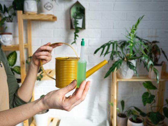 Jak stworzyć naturalne SPA w domowym zaciszu inspirowane lasem – kompletny przewodnik