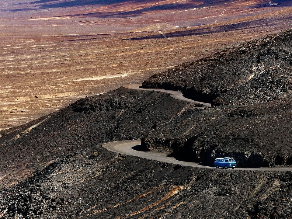 Jakie drzewa można wycinać na własnej działce i kiedy potrzebne jest zezwolenie?